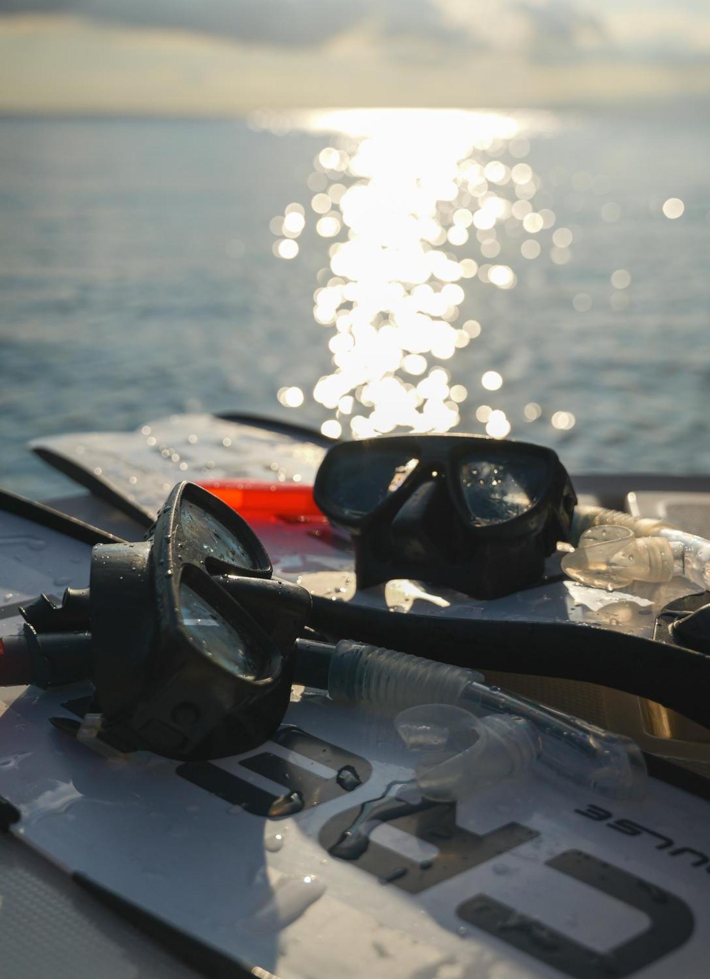 Mallorcainblue Charter *